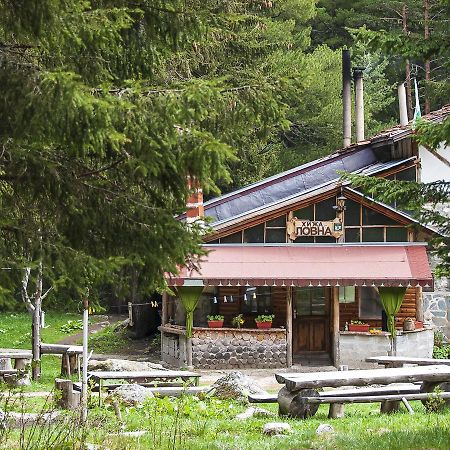 Lovna Hut Villa Panitsjisjte Eksteriør bilde