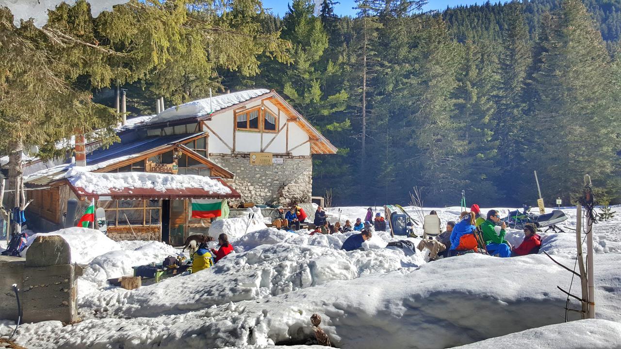 Lovna Hut Villa Panitsjisjte Eksteriør bilde