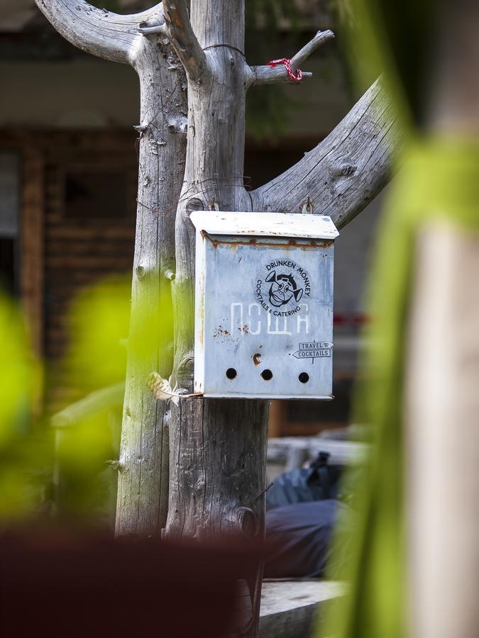 Lovna Hut Villa Panitsjisjte Eksteriør bilde