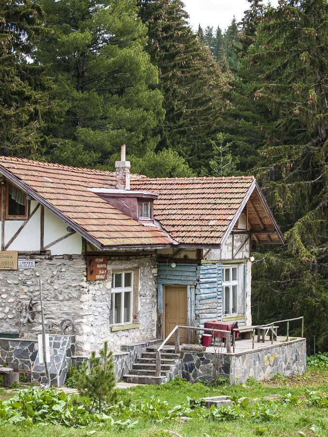 Lovna Hut Villa Panitsjisjte Eksteriør bilde