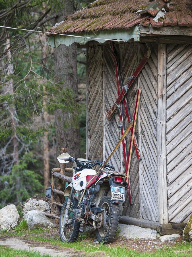 Lovna Hut Villa Panitsjisjte Eksteriør bilde