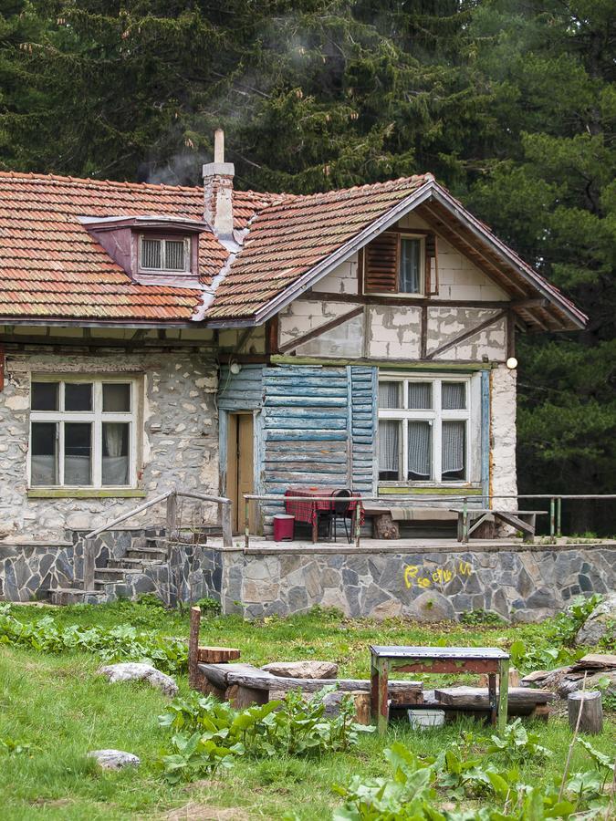 Lovna Hut Villa Panitsjisjte Eksteriør bilde